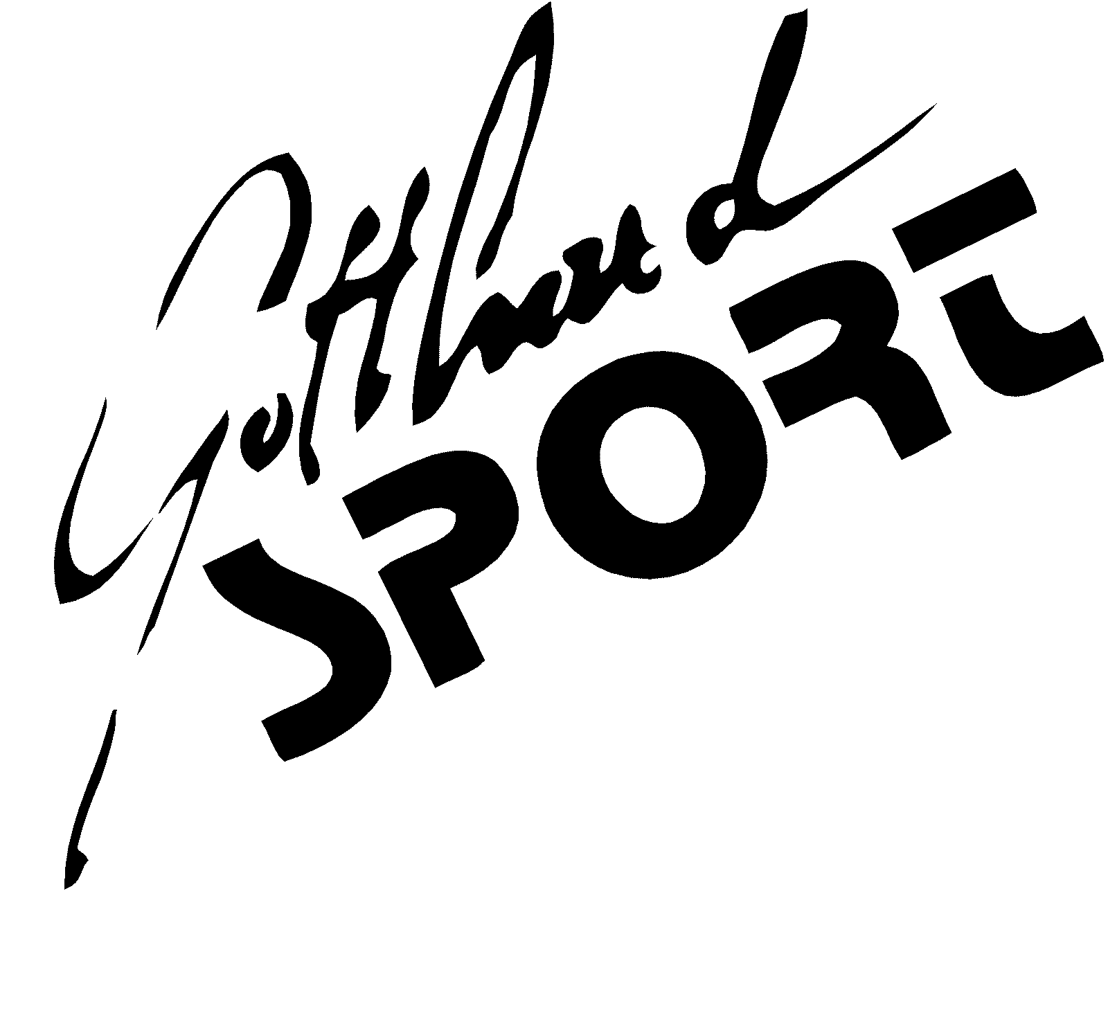 Gotthard Sport